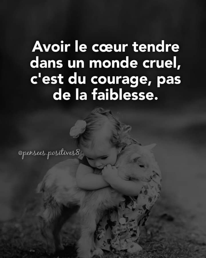 Lorsqu'on sait prendre soin de sa propre lumière, on n'a pas le temps d'éteindre celle des autres.